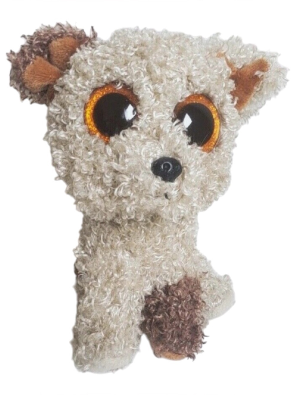 Ty Plush Dog Root beer- Cream and Brown Curly-Fur Puppy with Sparkly Orange Eyes